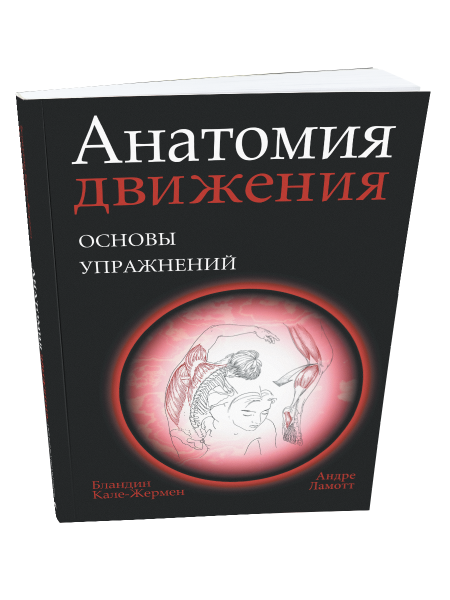 Анатомия движения: основы упражнений