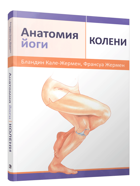 Анатомия йоги: колени