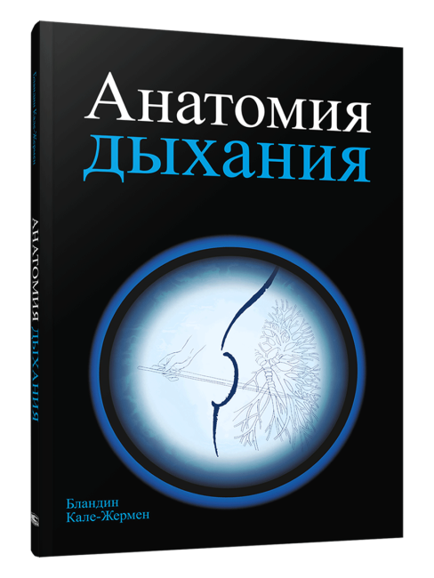 Анатомия дыхания