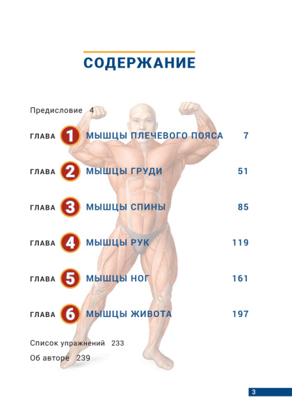 Анатомия бодибилдинга