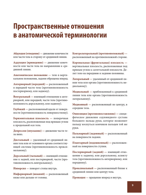 Анатомия спортивных травм