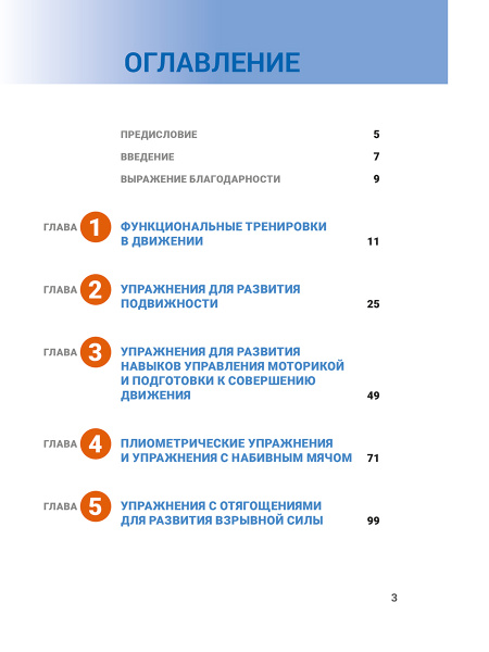 Анатомия функциональных тренировок