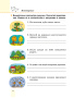 Пиши без ошибок. Русский язык. 3 класс