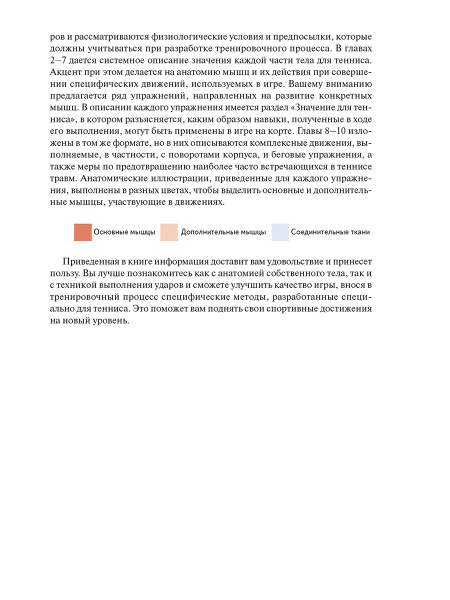 Анатомия тенниса