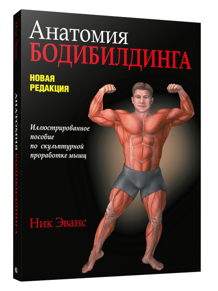 Анатомия бодибилдинга