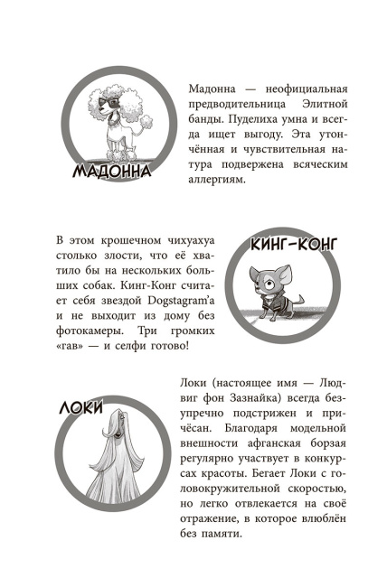 Банда бродяг: лапа лапу моет