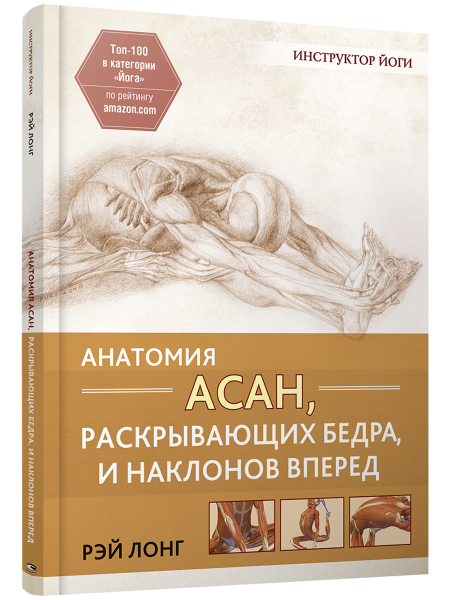 Анатомия асан, раскрывающих бедра, и наклонов вперед