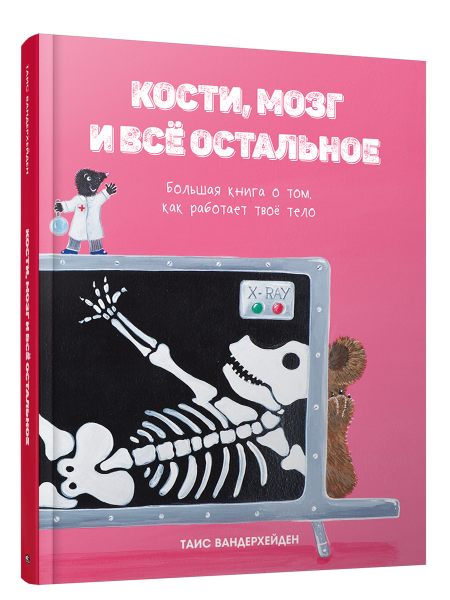 Кости, мозг и всё остальное. Большая книга о том, как работает твоё тело