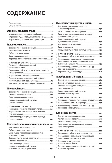 Анатомия движения: основы упражнений